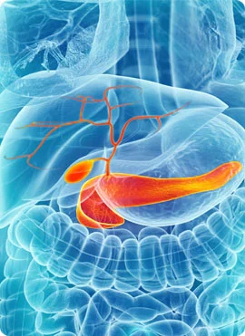 Biliary Diseases