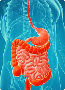 Cancer Related to GI Tract