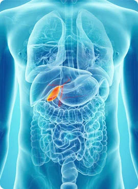 Gallbladder Disease