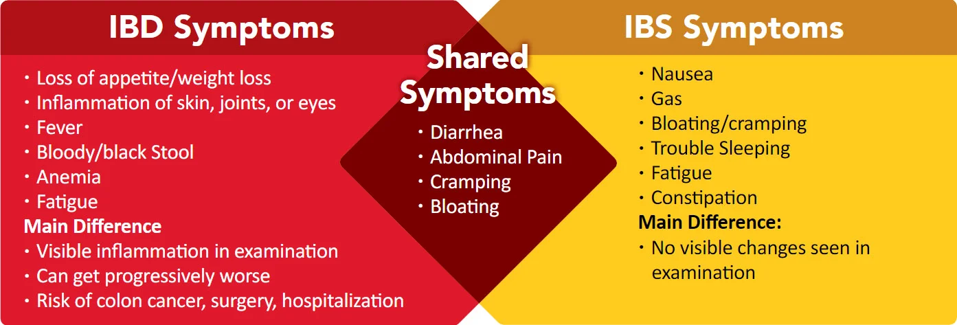 IBD and IBS