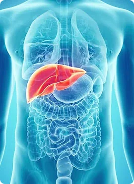 Liver Disease