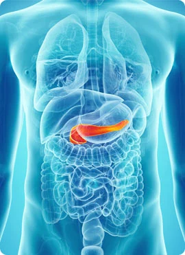 Pancreatic Disease